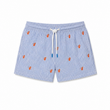 Costume Boxer Spritz
